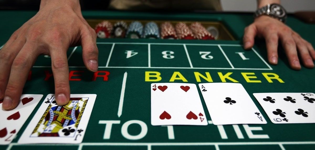 T20 Exchange Live Betting